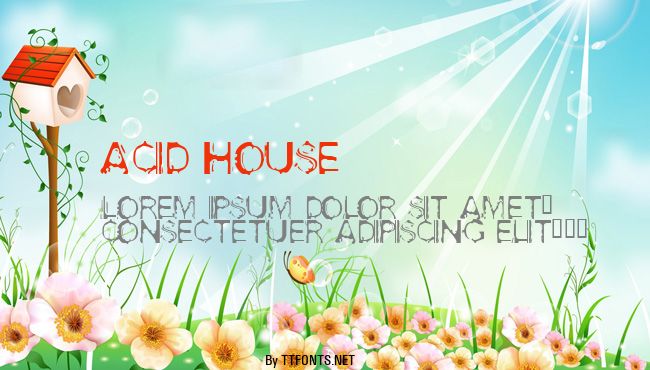 Acid House example